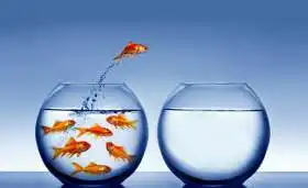 emprendedores